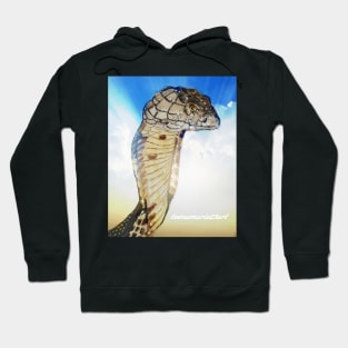 Snake Hoodie